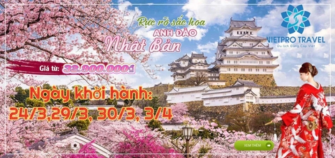 DU LỊCH NHẬT BẢN HOA ANH ĐÀO  Tokyo – Phú Sĩ – Nagoya – Kyoto – Osaka  				       Thời gian: 6 ngày/5 đêm Khởi hành: 24/3; 29/3; 30/3; 3/4 Phương tiện: Bay hàng không Vietjet Air, Shinkansen, ôtô