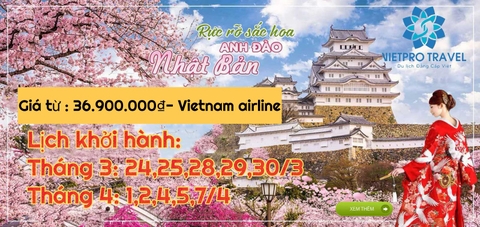 DU LỊCH NHẬT BẢN HOA ANH ĐÀO  Tokyo – Phú Sĩ – Nagoya – Kyoto – Osaka  				       Thời gian: 6 ngày/5 đêm Khởi hành:  Tháng 3: 24/3; 25/3; 28/3; 29/3; 30/3           Tháng 4: 1/4; 2/4; 4/4; 5/4; 7/4 Phương tiện: Bay hàng không Vietnam Airline, Shinkansen, ôtô