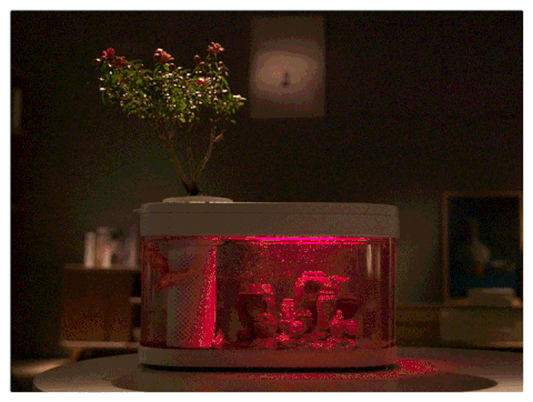 Bể cá thủy sinh mini Xiaomi HFJH C180