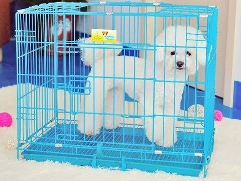 Lồng sơn tĩnh điện nan to