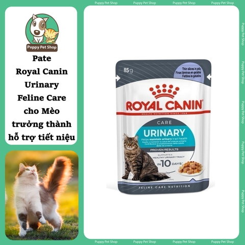 Pate Royal Canin Urinary Feline Care cho Mèo trưởng thành hỗ trợ tiết niệu 85g