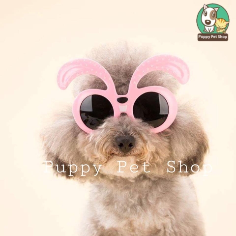 😎👓Kính carnaval rực rỡ👓🕶