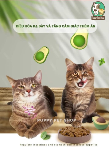 Cỏ Bạc Hà Catnip cho Mèo hình Bơ, Quả Trứng