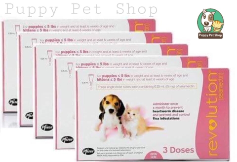 🐶 Revolution Mèo & Chó con < 2.5kg trị kí sinh trong ngoài 🐱