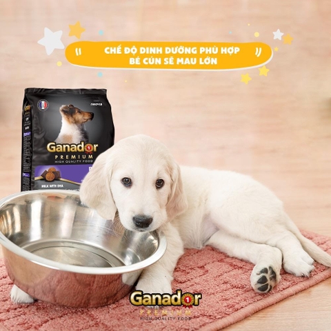 Thức ăn hạt hỗn hợp Ganador Sữa & DHA cho cún con