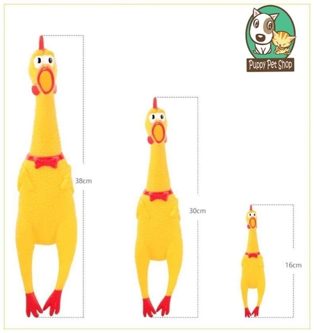 🐓Gà thần thánh🐥