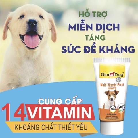 Gel bổ sung dinh dưỡng cho chó Gimdog