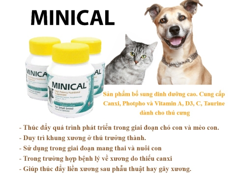 Viên Bổ Sung Canxi Cho Chó Mèo Con Minical