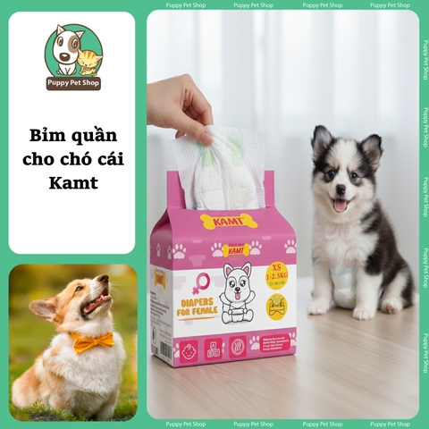 Bỉm quần cho chó cái Kamt