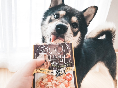 🍖Pate Doggyman cho chó🐶