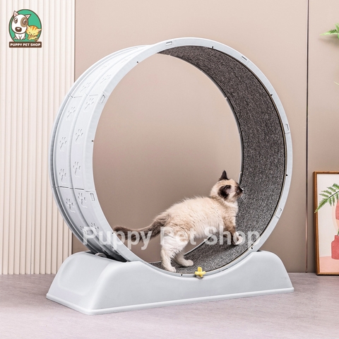 Máy chạy bộ cho Mèo PetQ - Bộ dụng cụ huấn luyện cho Mèo