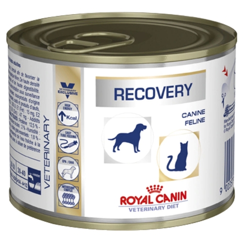 Pate Royal Canin dành cho chó mèo Recovery hỗ trợ phục hồi 195g