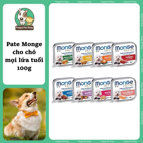 Pate Monge cho chó 100g
