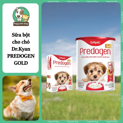 Sữa bột cho chó con Dr.Kyan Predogen Gold 100g 400g
