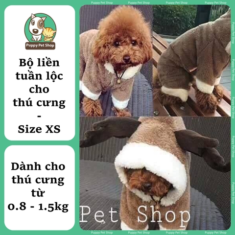Bộ liền tuần lộc