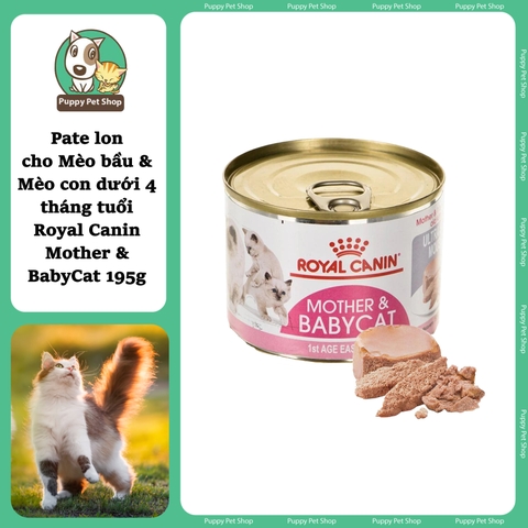 💞Pate ROYAL CANIN Mother and Babycat dành cho mèo bầu và mèo con dưới 4 tháng tuổi 195g😻