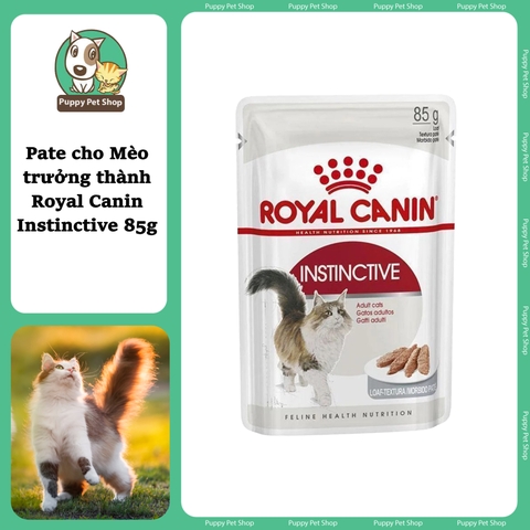 Pate Royal Canin Intense cho Mèo hỗ trợ đẹp da và lông 85g