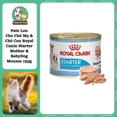 Pate Lon Cho Chó Mẹ & Chó Con Royal Canin Starter Mother & BabyDog Mousse 195g