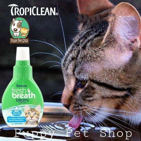 Nước súc miệng đậm đặc cho mèo  Tropiclean - fresh breath drops