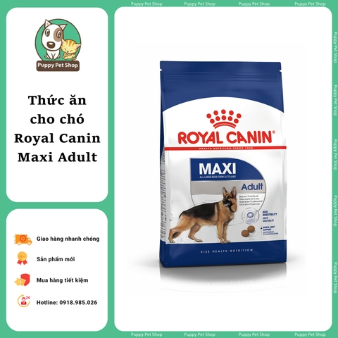 Hạt Royal Canin Maxi Adult cho dòng chó lớn trưởng thành 10kg