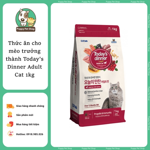 Thức ăn cho mèo trưởng thành Today's Dinner Adult Cat 1kg