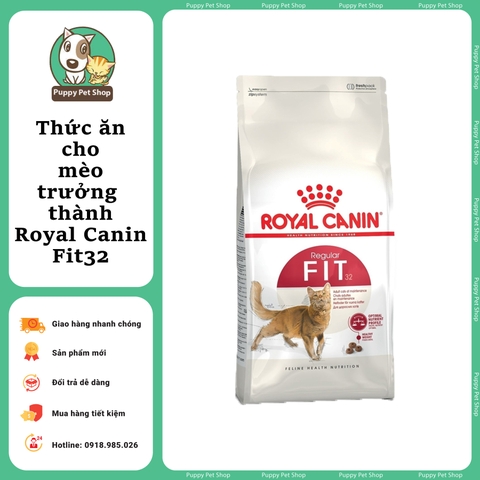 Hạt Royal Canin Fit32 cho Mèo trưởng thành