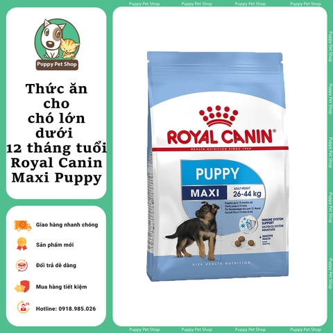 Thức ăn cho chó lớn dưới 12 tháng tuổi - Royal Canin Maxi Puppy