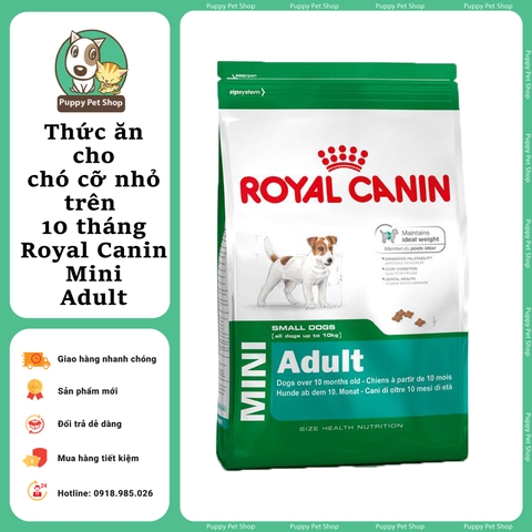 Thức ăn cho chó cỡ nhỏ trên 10 tháng - Royal Canin Mini Adult