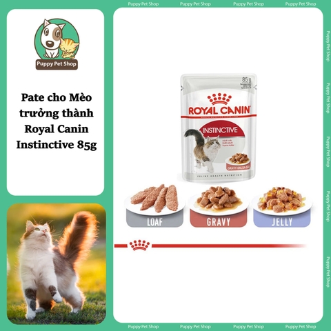 Pate Royal Canin Instinctive cho Mèo trưởng thành 85g