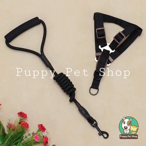 dây đai ngực Zichen🐶