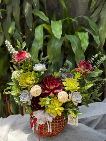 Giỏ hoa sen đá mix