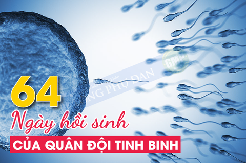 64 ngày tăng chất lượng tinh trùng với Long Phụ Đan.