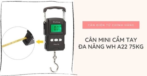 Review cân treo điện tử cầm tay đa năng WH A22 75KG