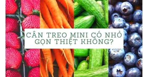 Các loại cân treo mini chính xác nhỏ gọn & dễ dàng bỏ túi mang theo