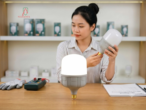 Bóng đèn LED nào phù hợp cho hộ gia đình Việt? 