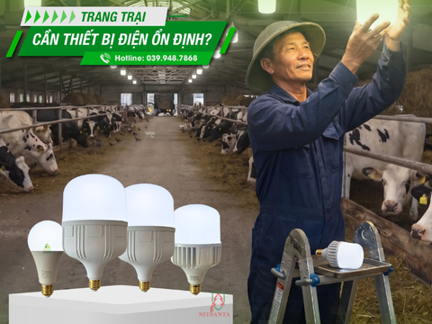 Thiết bị điện cho khu chăn nuôi và sản xuất nông nhiệp