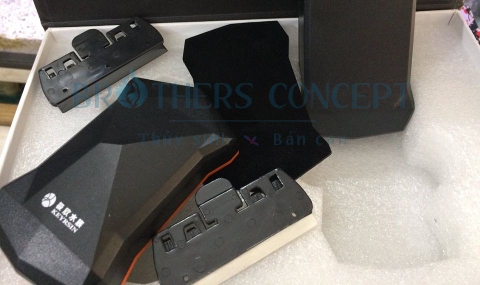 NAM CHÂM CỌ BỂ KEYRSIN