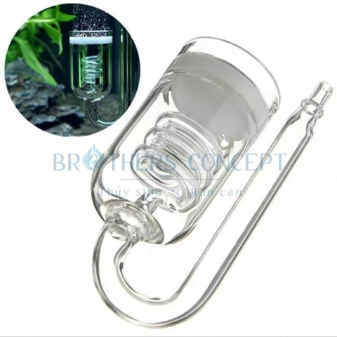 CỐC SỦI THỦY TINH