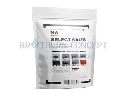 CSM+ ( VI LƯỢNG )