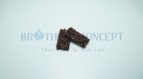 GIÁ THỂ BUỘC CÂY