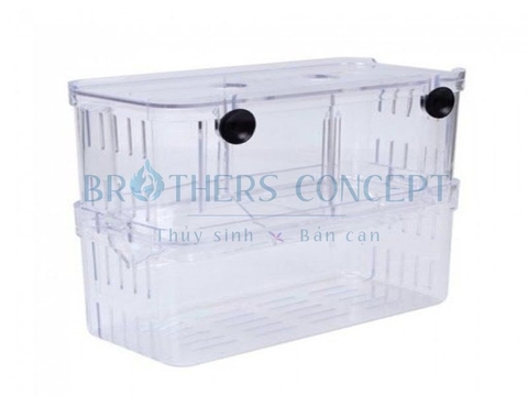 LỒNG DƯỠNG CÁ MICA BREEDER BOX