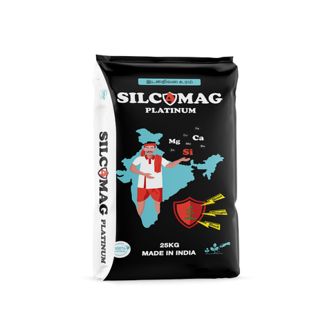 SILCAMAG - Phân bón Silic chống shock từ Ấn Độ