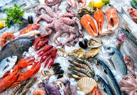 HƯỚNG DẪN THỜI GIAN BẢO QUẢN THỰC PHẨM NGĂN ĐÔNG