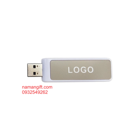 USB NHỰA 017