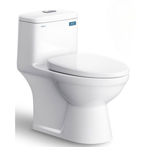 Bồn cầu 1 khối Viglacera BL5