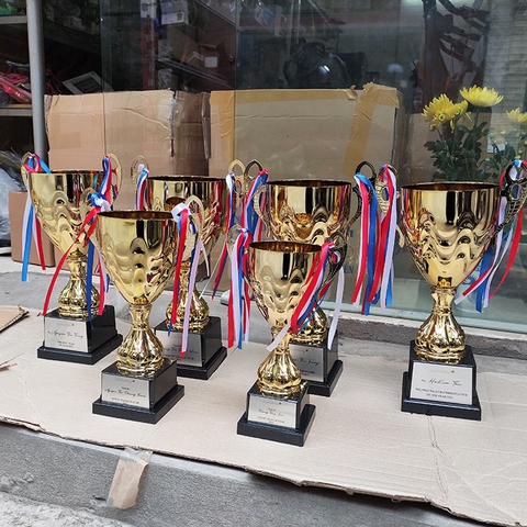 Cúp kim loại giá rẻ 2083