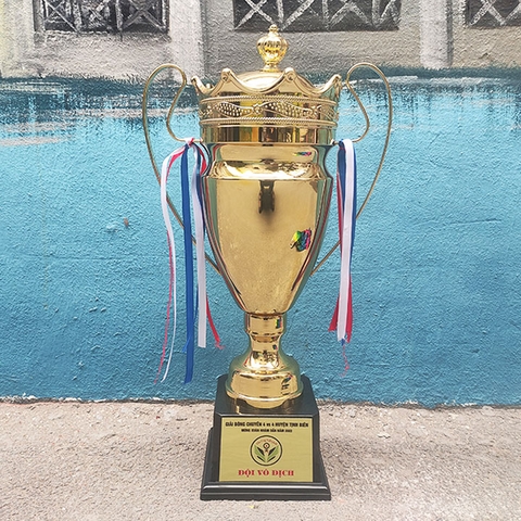 Cúp thể thao cao cấp G2102