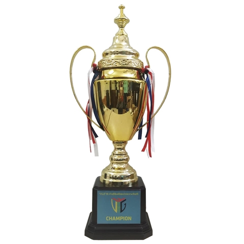 Cúp kim loại cao cấp HL3