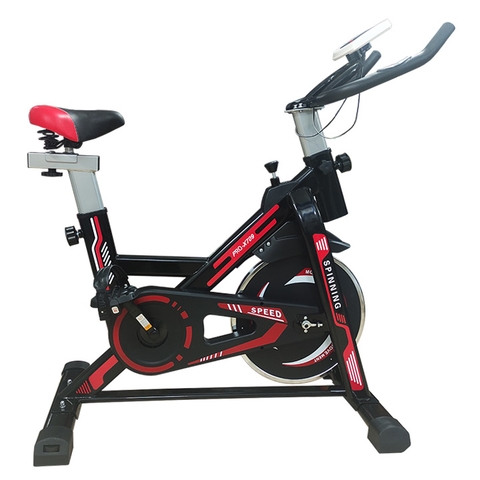 Xe đạp tập thể dục Pro-X709