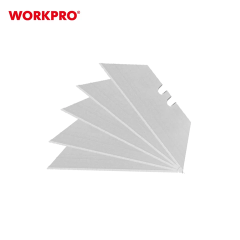 WP213004-001